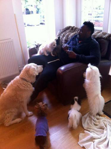 chisora-with-dogs.preview.jpg (51.67 Kb)