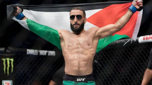  UFC      ...