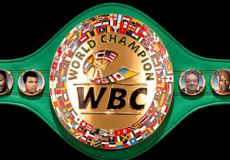 WBO, IBF, WBC, WBA      