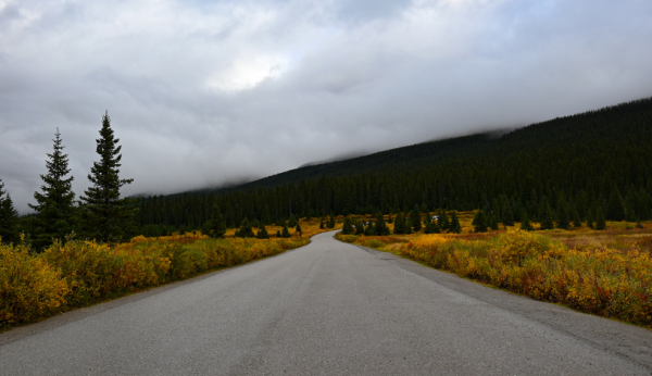 1920_47.png (318.58 Kb)