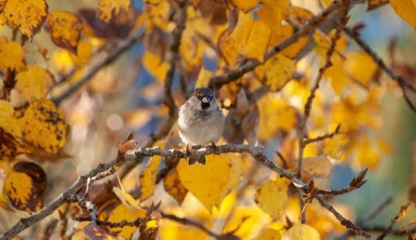 ������� ������ ��������� ��� ��������� ������� ...