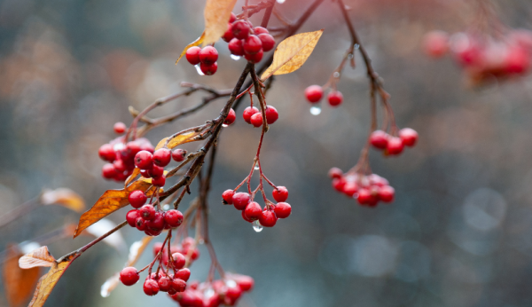 3914_12.png (313.76 Kb)