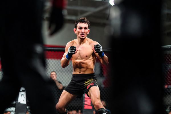 arieu.jpg (24.66 Kb)