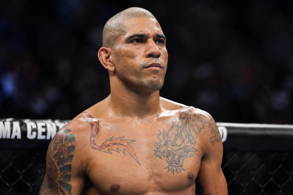 ���������� ���������� UFC ��� ����� �������� ���...