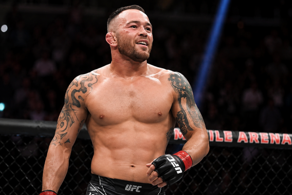 ���������� ���������� �� ����� ������� UFC � ���...