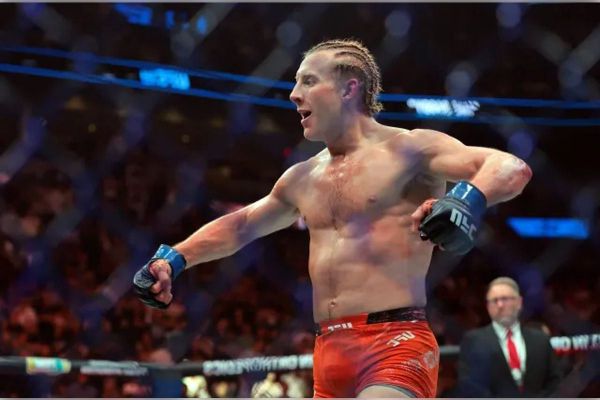 31-����� ��������� ���� ϳ������, �'���� � �����...