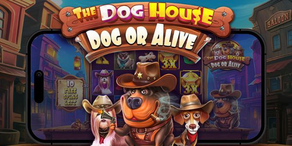 the-dog-house-dog-or-alive.jpg (47.96 Kb)