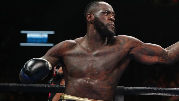 vailder.jpg (209.55 Kb)