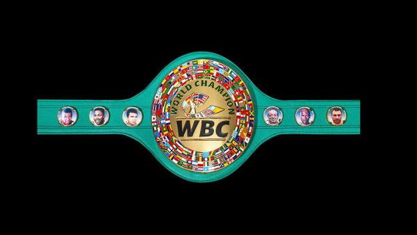 wbc_generations_belt_6_jpg.jpg (23.06 Kb)
