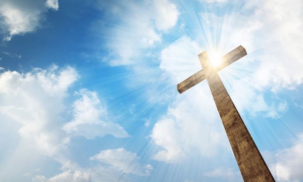 ������������ ������������� ������ ������ ������� �...